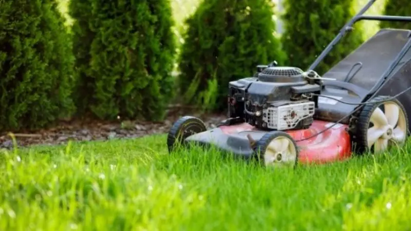 where a lawn sweeper is used
