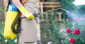 agricultural spraying equipment