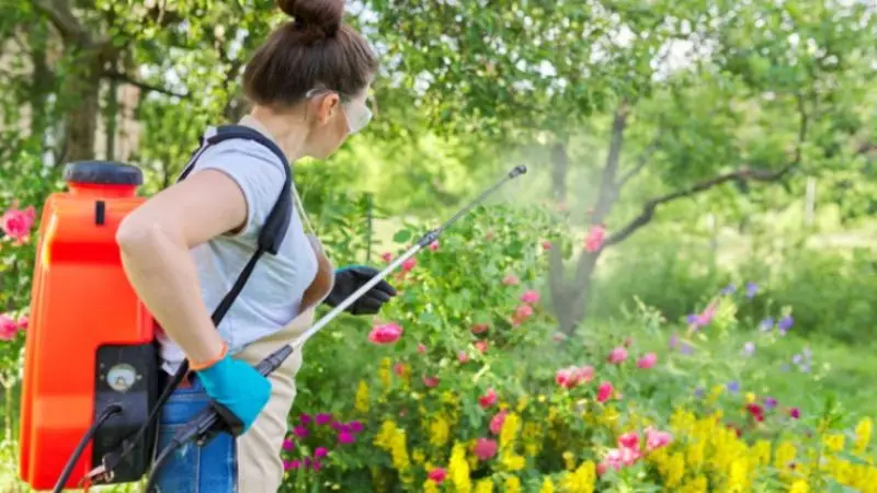 What is a backpack sprayer, and how does it work