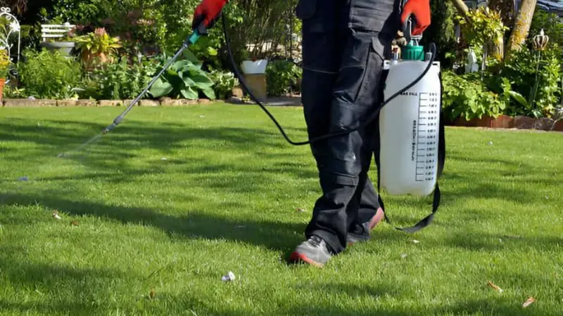Lawn Weed Sprayer