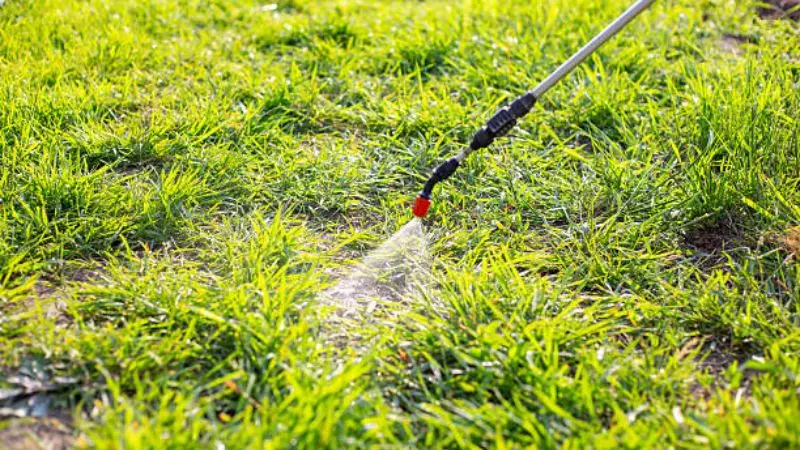 Weed Sprayer in Spring