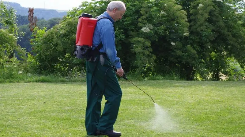 Battery-Powered Bug Sprayer