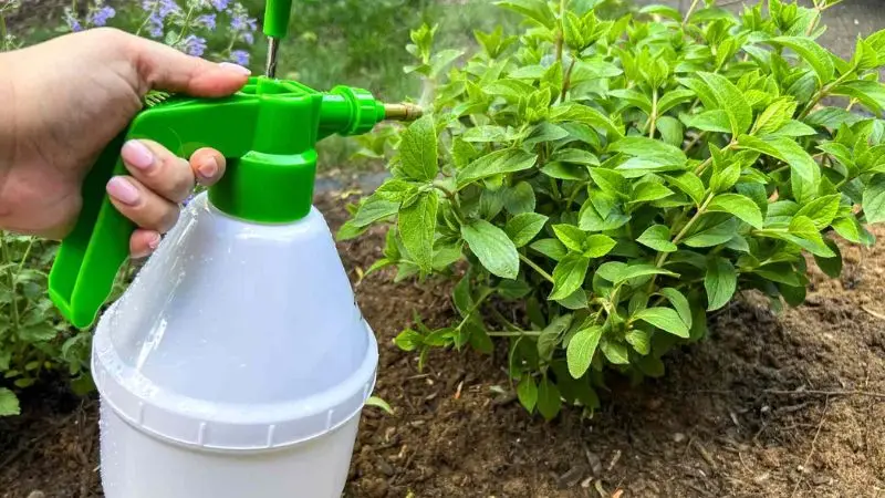 Backpack Bug Sprayer