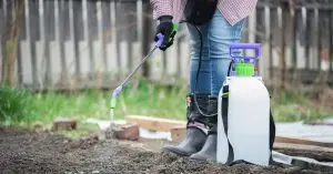 how to control weeds in garden