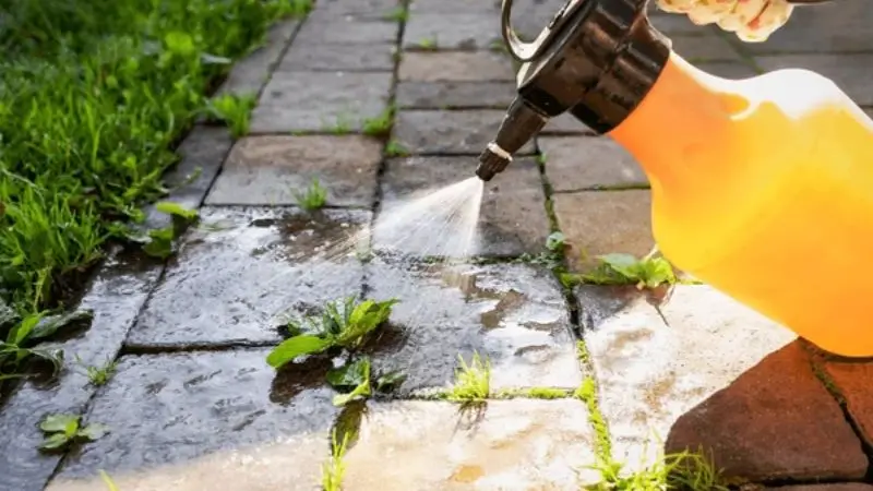 Chemical Weed Spray for Garden