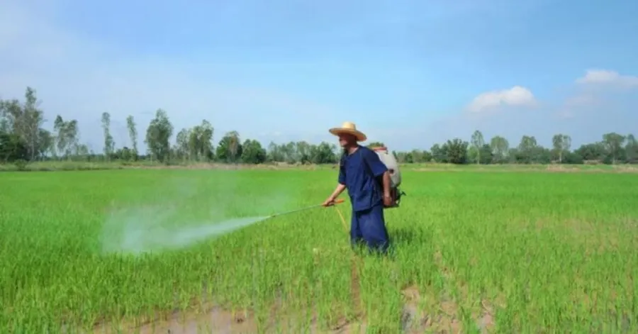 spraying liquid fertilizer