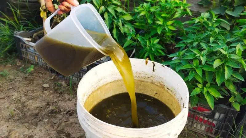 Foliar Liquid Fertilizer
