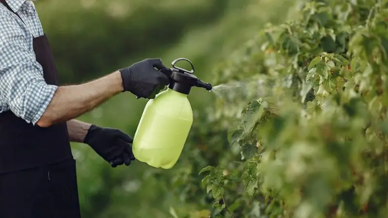 Liquid Fertilizer for Plants