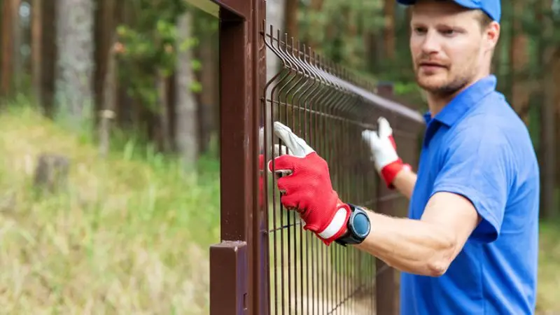 How to plan your chicken wire garden fence
