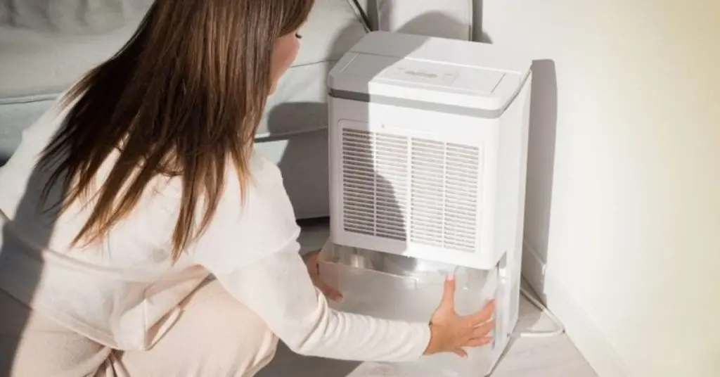 dehumidifier for mold​