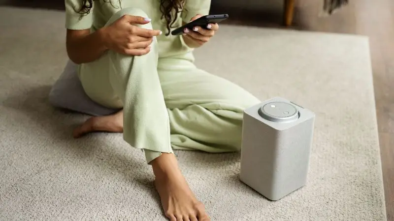 Best Types of Dehumidifiers for Mold Prevention