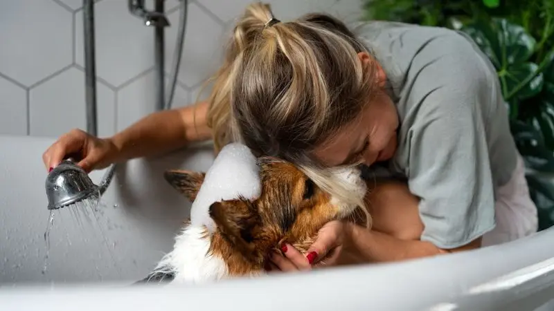 Come scegliere una vasca da bagno per la toelettatura del cane