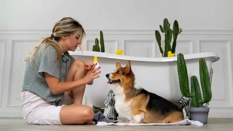 Errori comuni da evitare quando si utilizza una vasca per la toelettatura dei cani