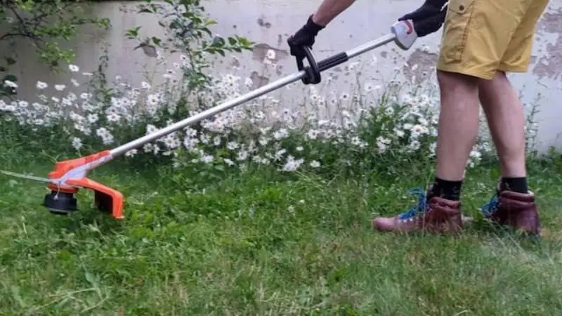 Lawn Edge Trimmer