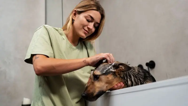 mobile dog bathing service cost