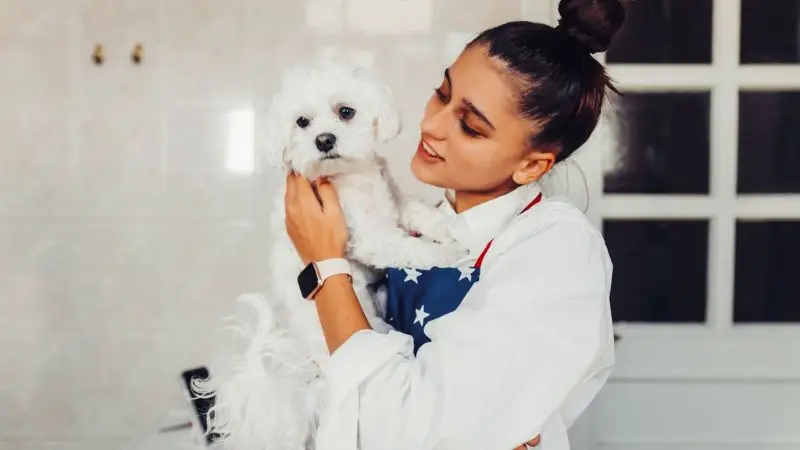 DIY dog bath tub cost at home
