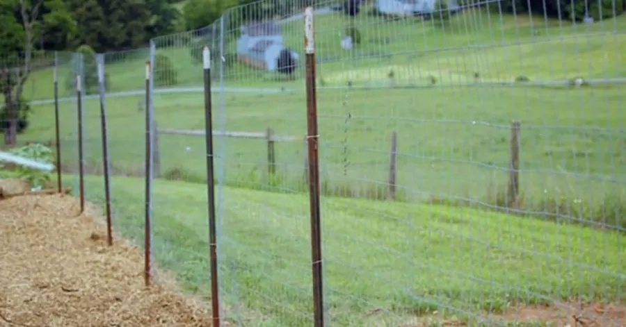 how to install chicken wire fence
