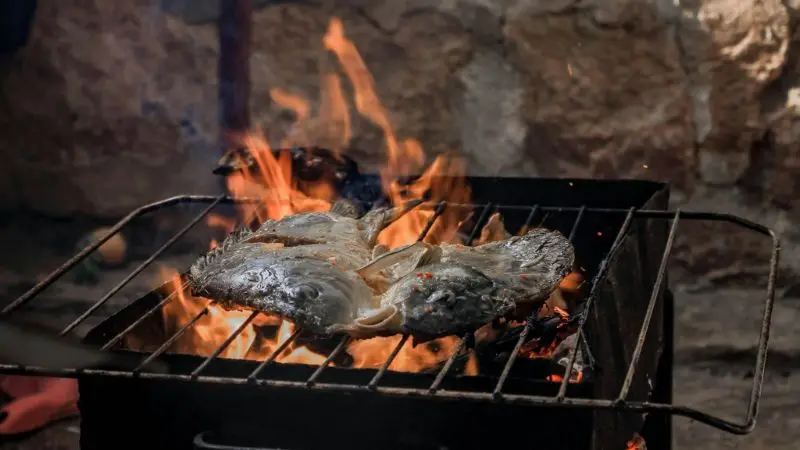 best woods and fuels for smoking meat