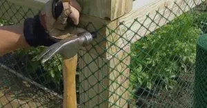 how to put chicken wire on fence​