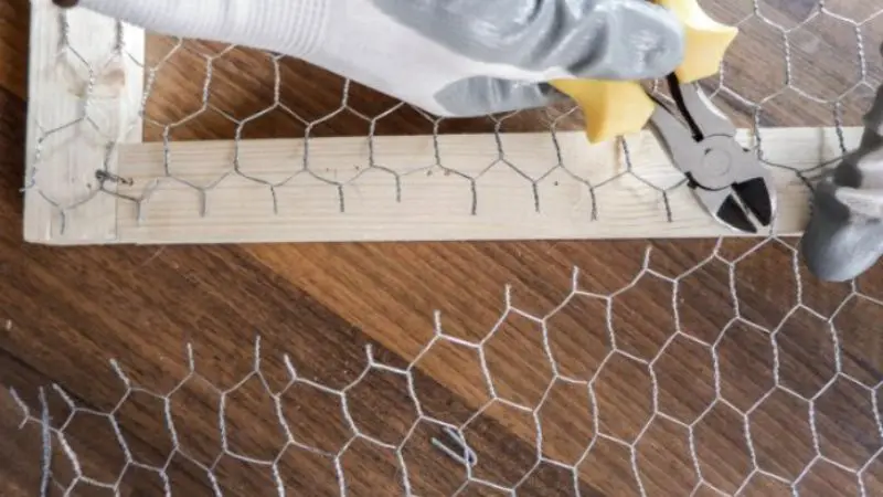 Chicken wire on wooden fence