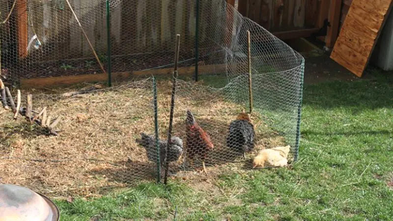 How to understand installation requirements before setting up your fence