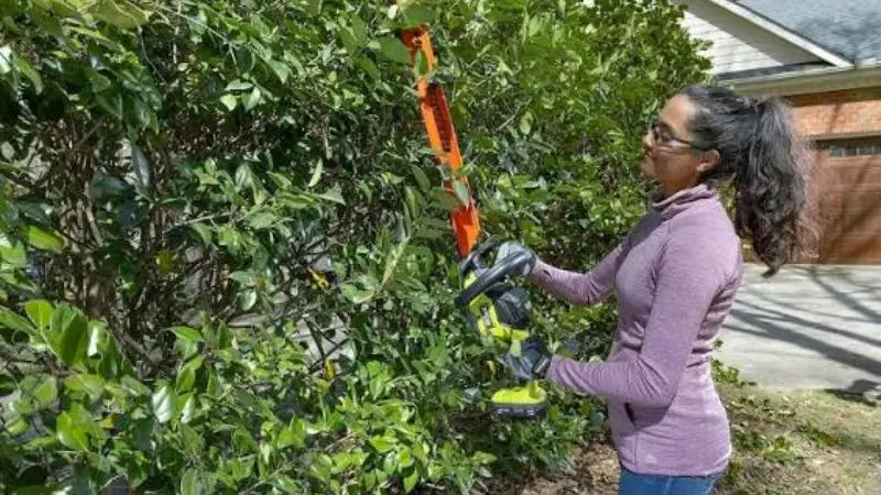 Trimming Shrubs in Garden