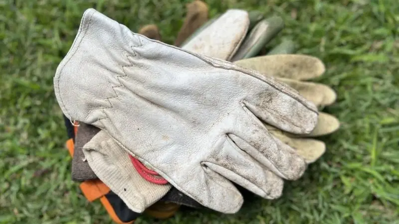 Safety Gloves for Garden Work