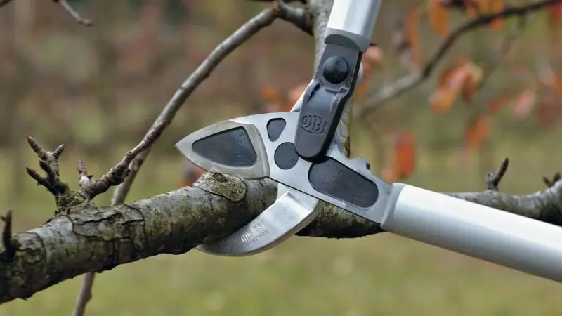  Pruning Shears for trimming