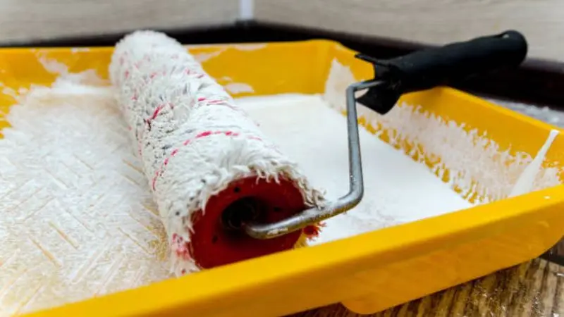 Roller and Roller Tray for Paint