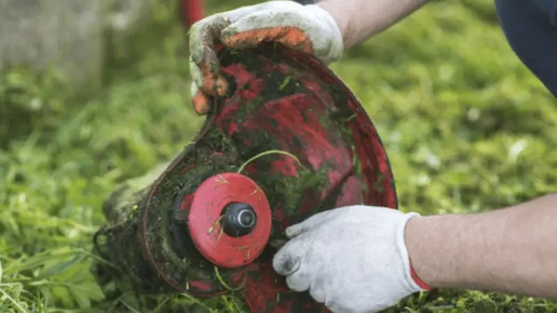 How to clean and maintain a gas-powered edger?