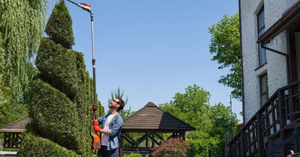 hedge trimmer pole