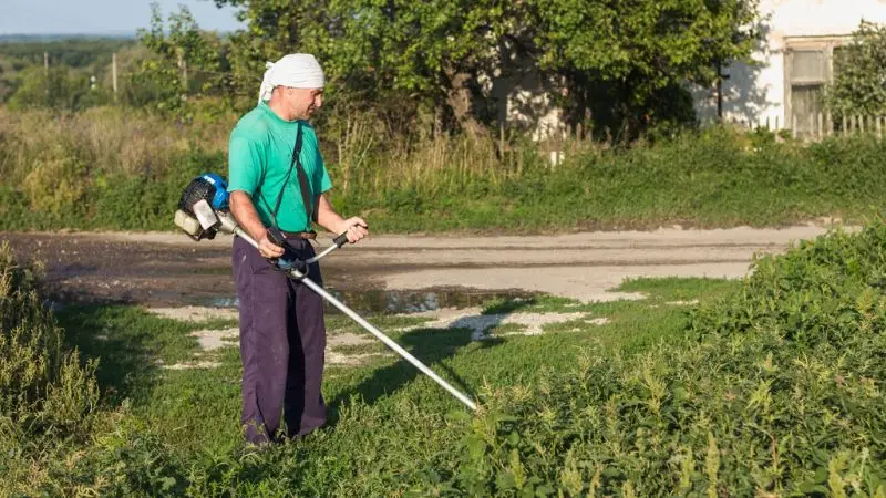 Cómo usar una podadora de setos de forma segura