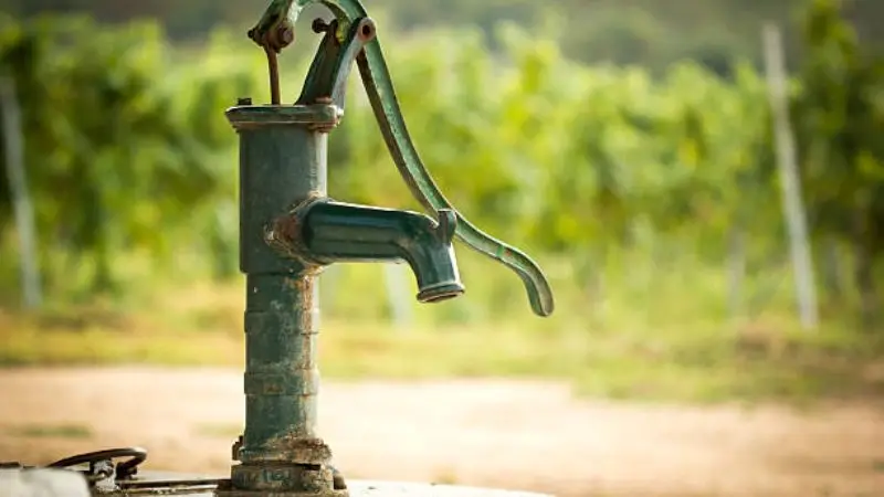 Handheld Water Pump