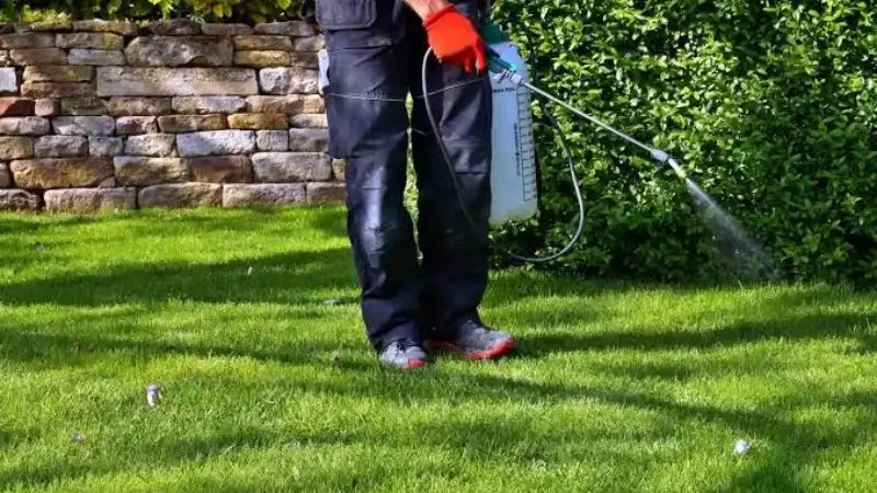 Weed Spray for Garden