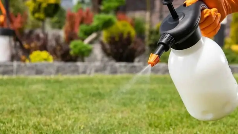 Grassy Weed Spray 
