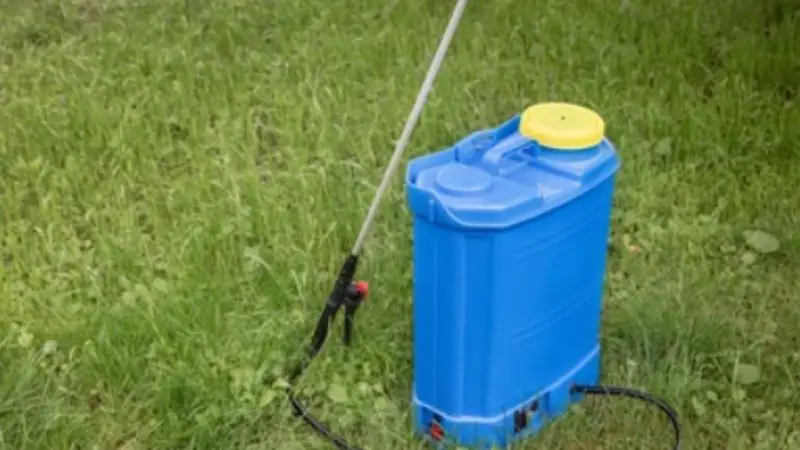 Portable Spray Pump