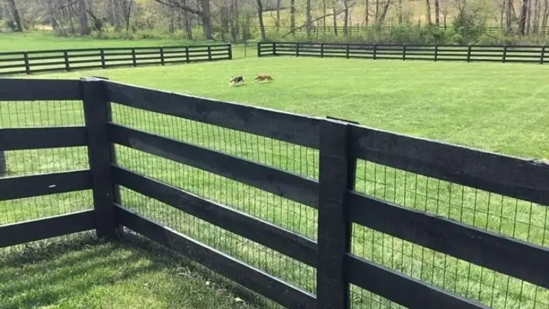 How to Choose the Best Welded Wire Fence Design