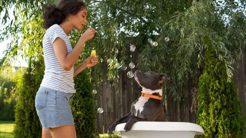 How to keep your puppy calm during a bath