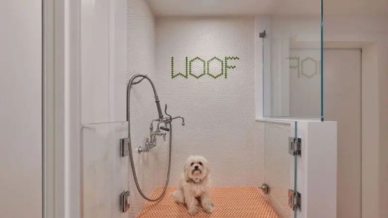Dog Washing Station