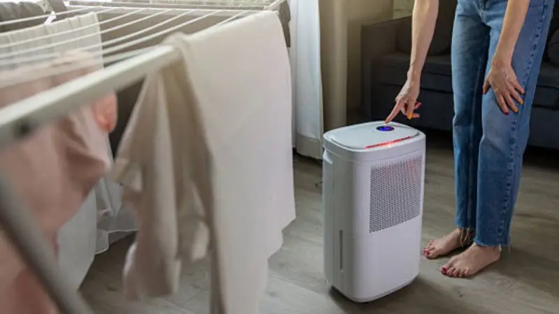 factors that affect dehumidifier cost