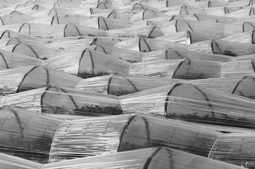 Protezione delle colture con fogli di plastica