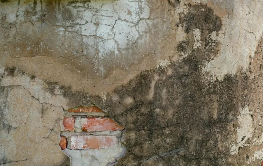 How to repair basement walls