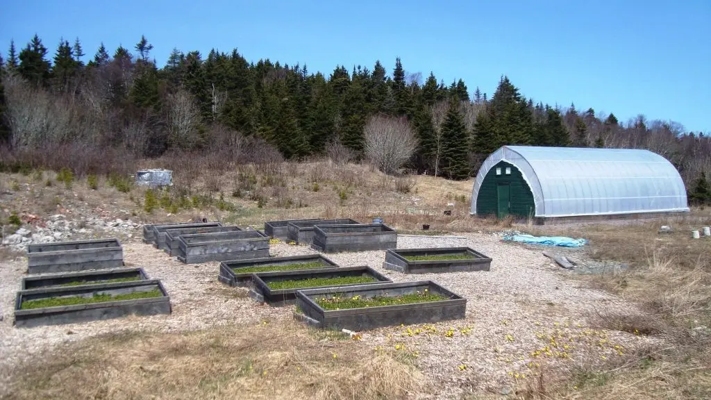 Several cold frames installed in a barren field near a green house.