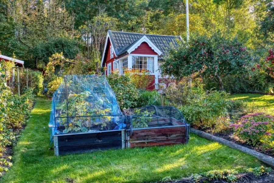 Two DIY wooden cold frames installed at the backyard of a house.