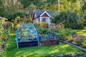 Kaksi itse tehtyä puista kylmälaatikkoa asennettuna talon takapihalle.