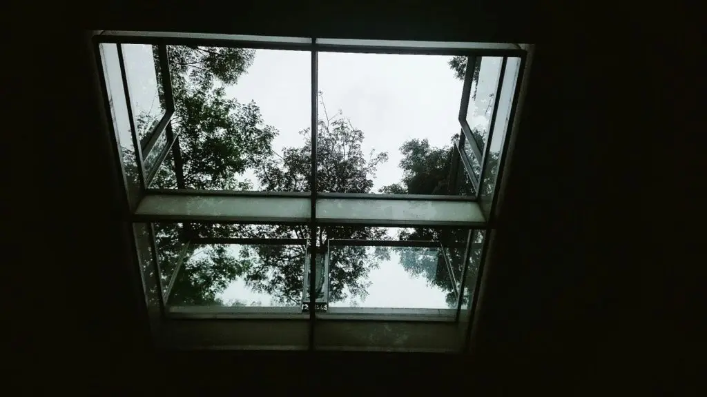 Skylight view with trees above