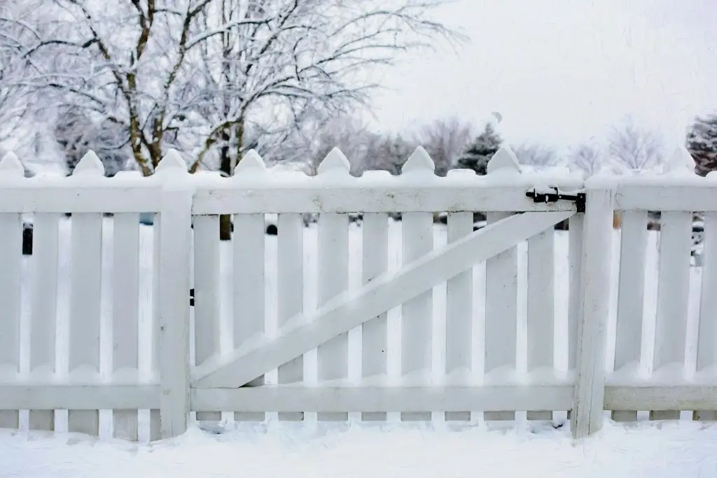 A fence with a gate completely coated in snow.