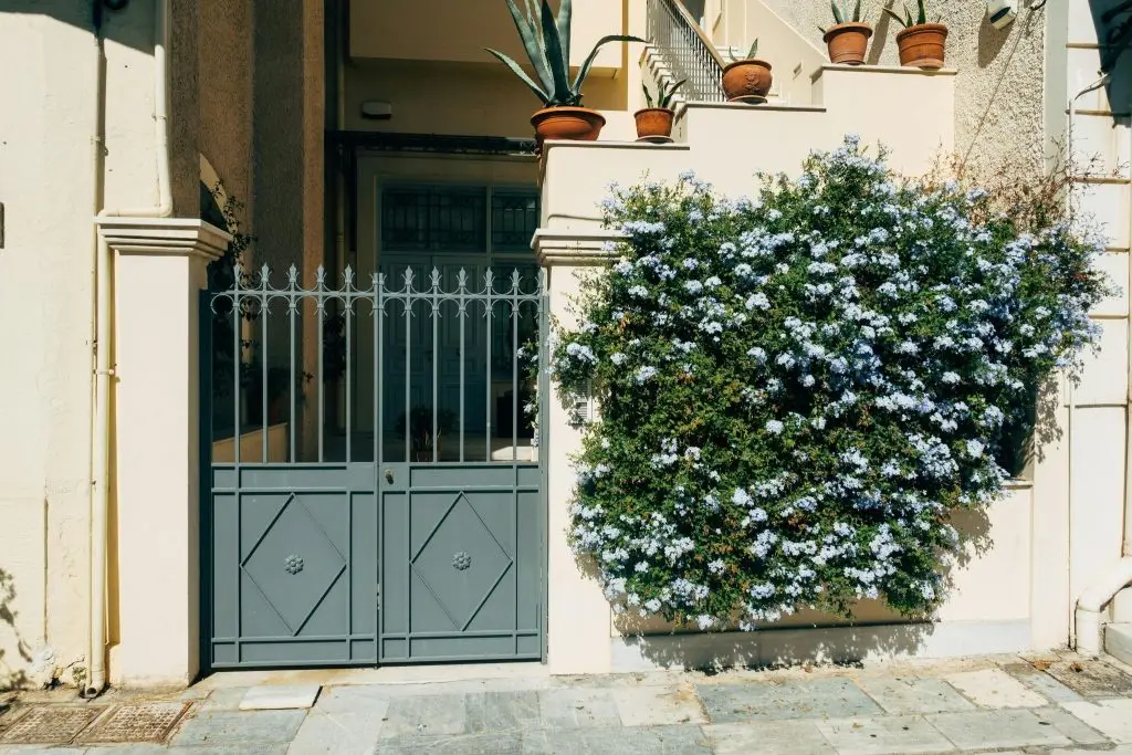 house entrance with flowers and a stylish metal gate