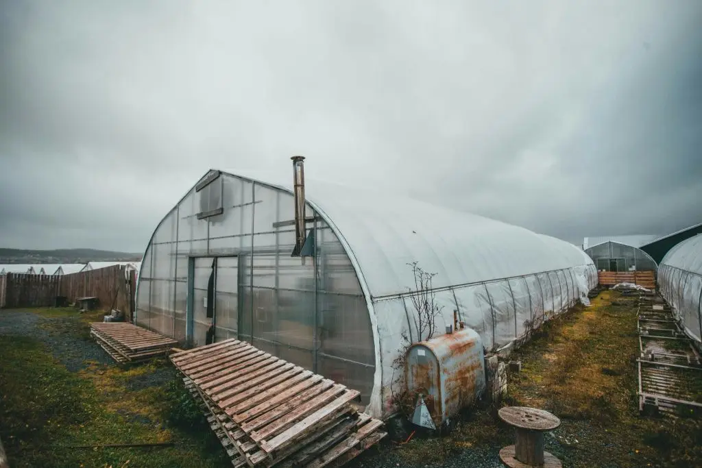 rural greenhouse surrounded by wooden pallets