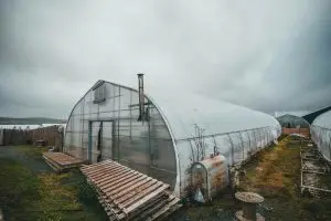 rural greenhouse surrounded by wooden pallets